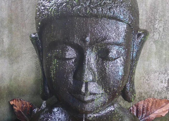 Rabina * Ubud