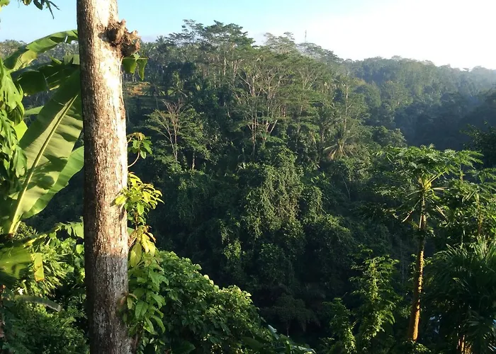 Rabina Ferienhaus Ubud