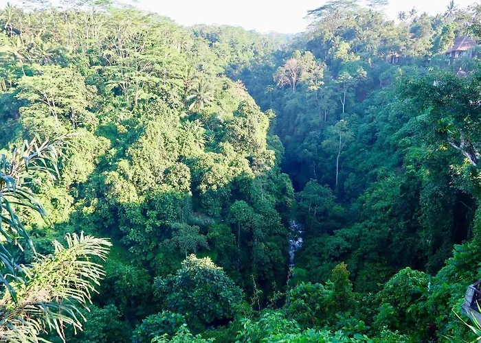 Rabina * Ubud